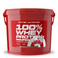 100 whey protein professional 5000g scitec nutrition