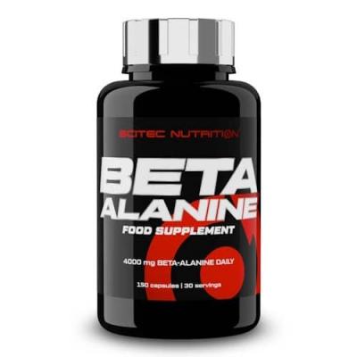 Beta alanine scitec nutrition